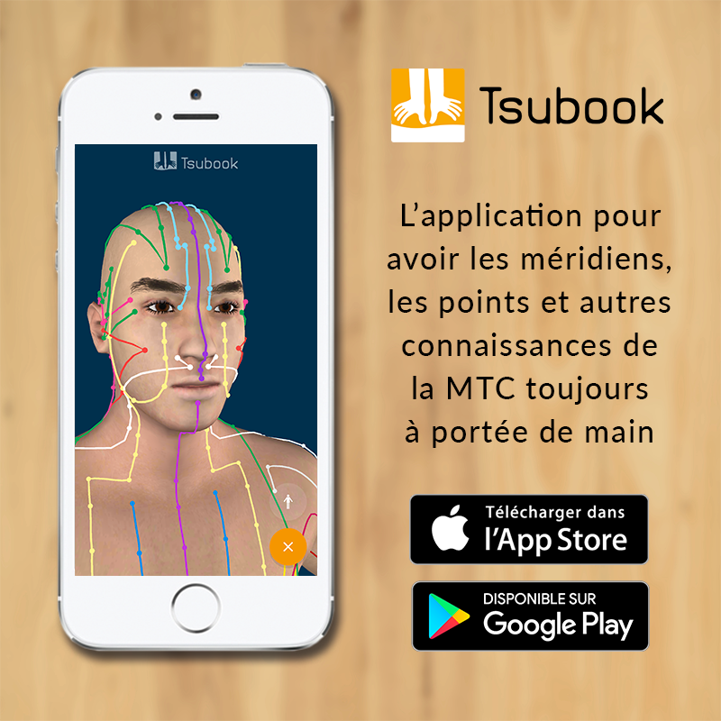 TSUBOOK MERIDIENS